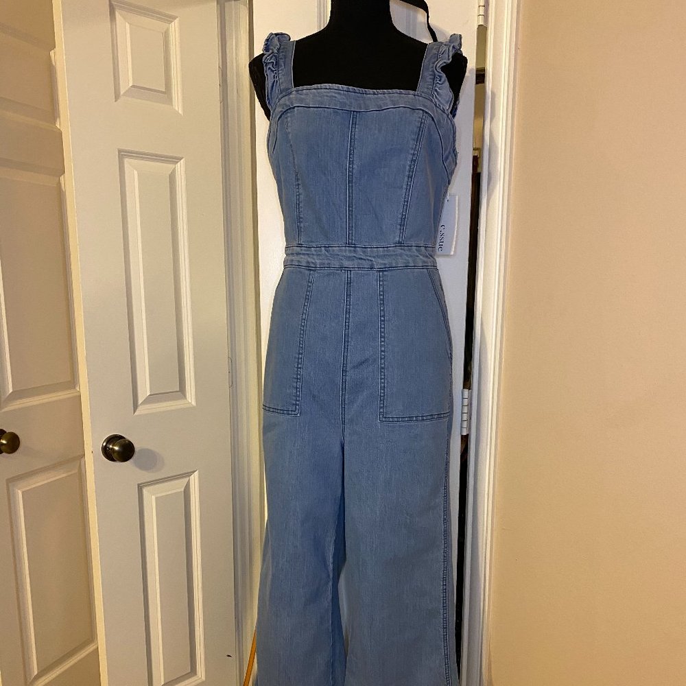 Denim Jumpsuit